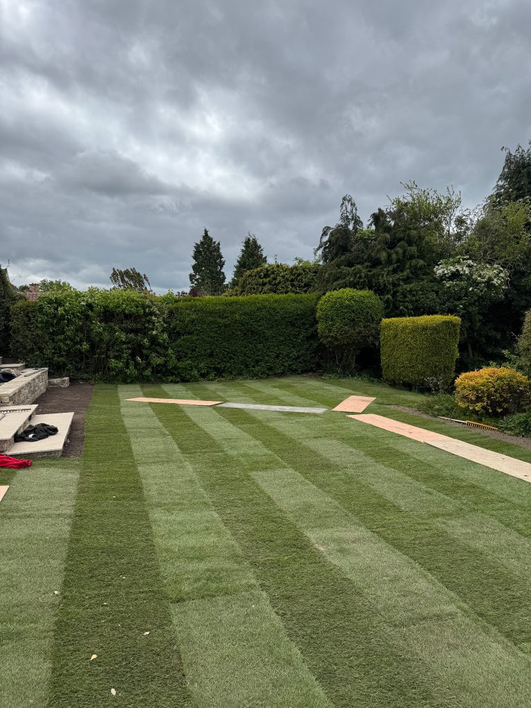 Fresh lawn installation